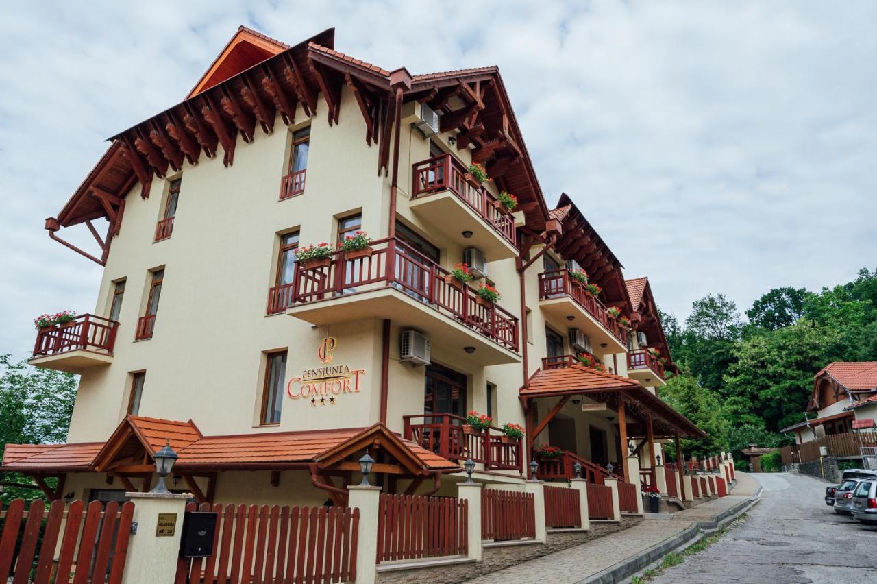 Pensiunea Comfort โซวาตา ภายนอก รูปภาพ