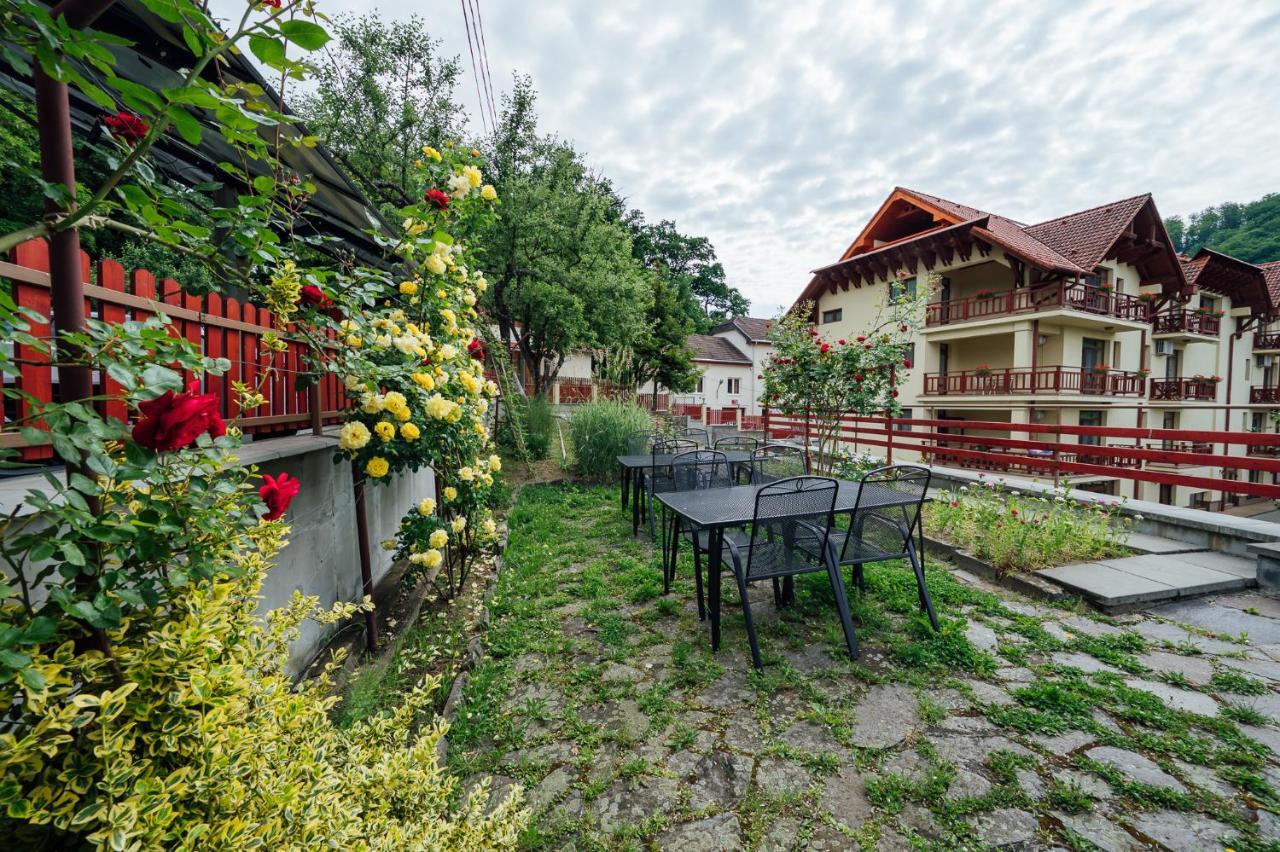 Pensiunea Comfort โซวาตา ภายนอก รูปภาพ